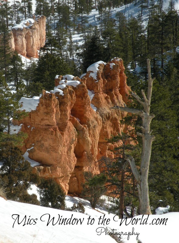 Bryce Natl Park Ut 9(1).jpg