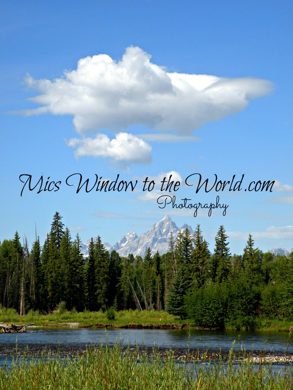 Buffalo Fork River  Tetons(1).jpg