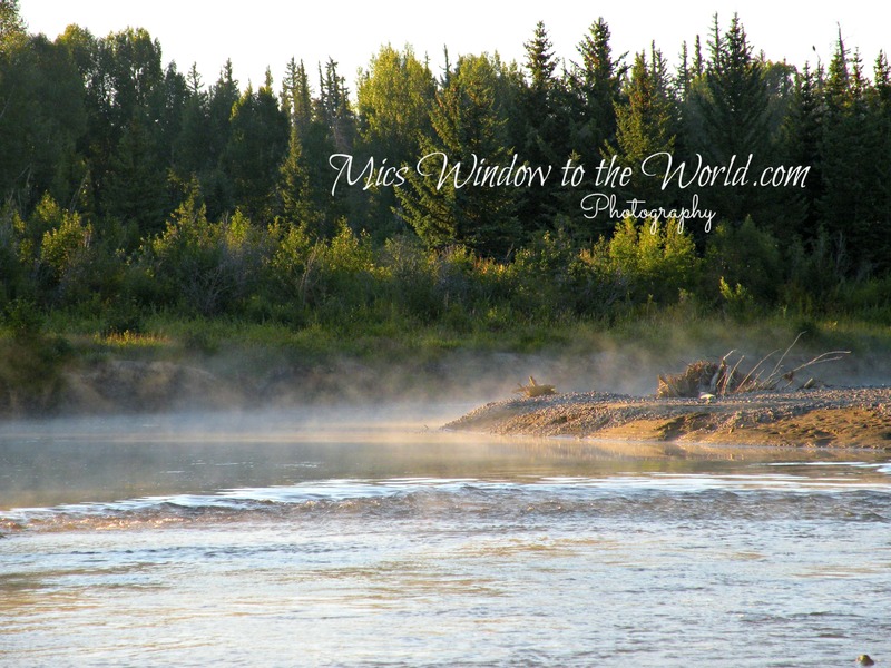 Buffalo Fork WY(1).jpg