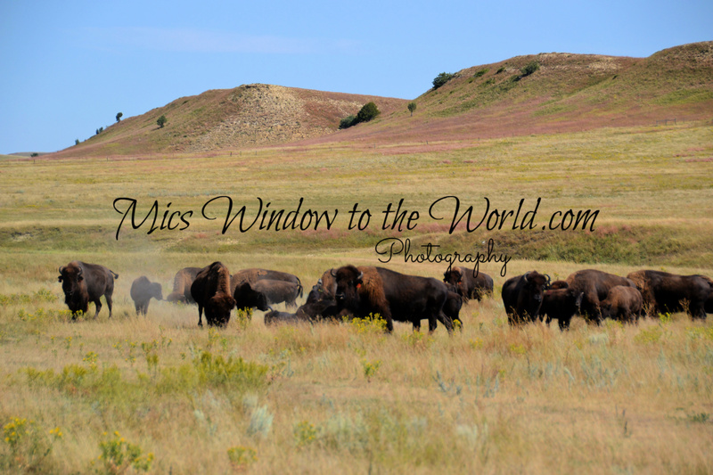 Buffalo Gap Grasslands 2.jpg