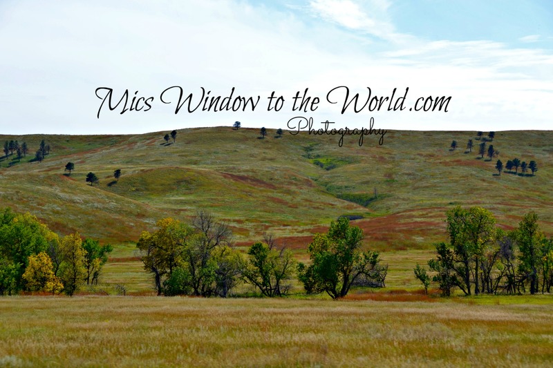 Buffalo Gap Grasslands 6.jpg