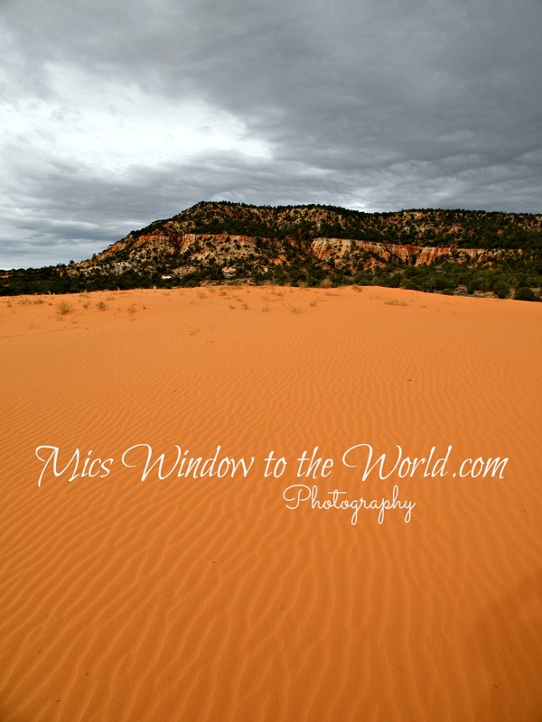 Coral Pink Sand Dunes 1(1).jpg