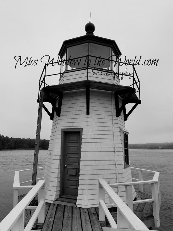 Doubling Pt Light 3.jpg