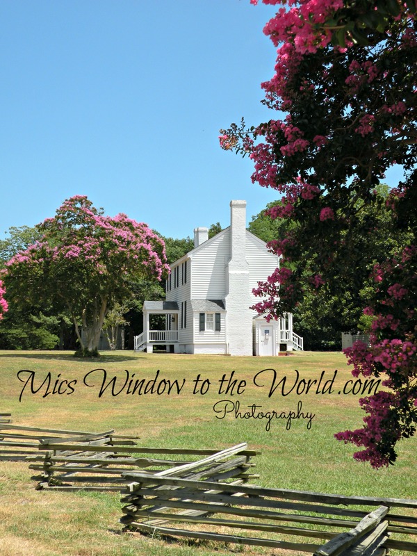 Endview Plantation 1 1760.jpg