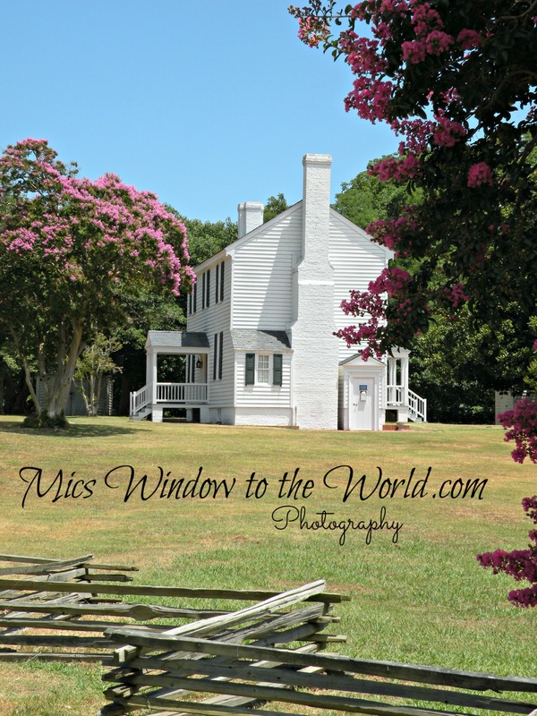 Endview Plantation 2.jpg