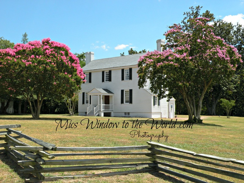 Endview Plantation 3.jpg