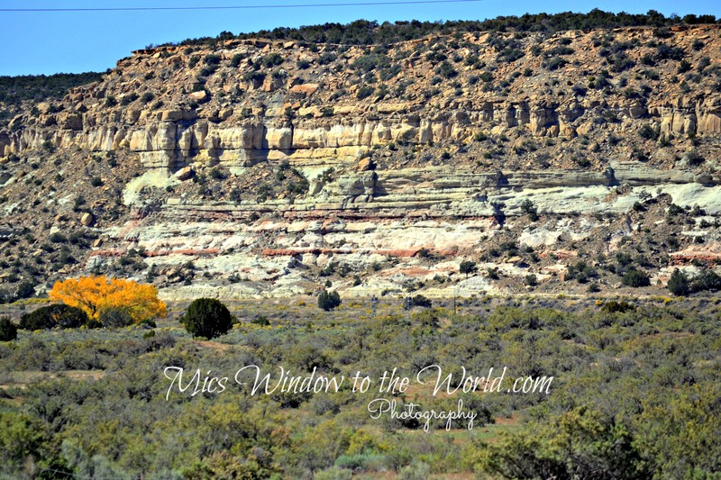 Fall Colors 1 NM(1).jpg