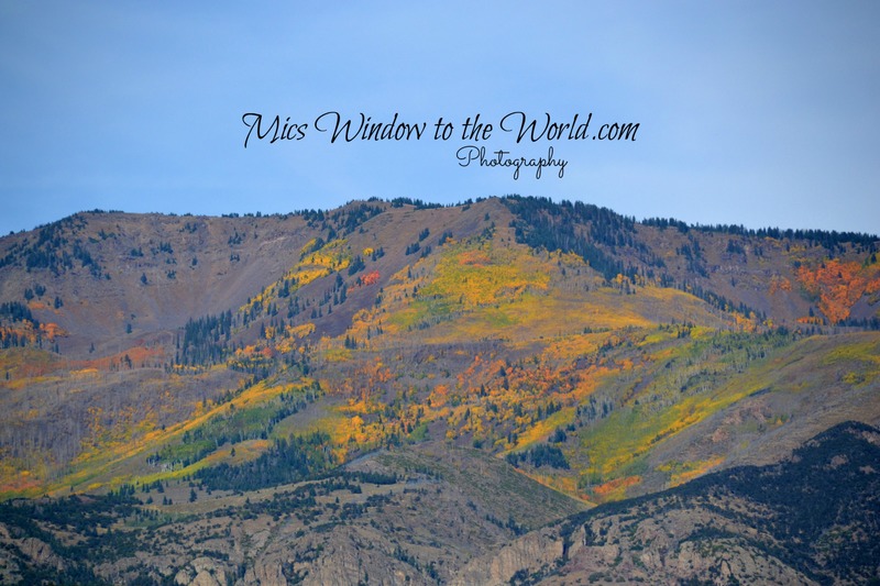 Fall Colors 11(1).jpg