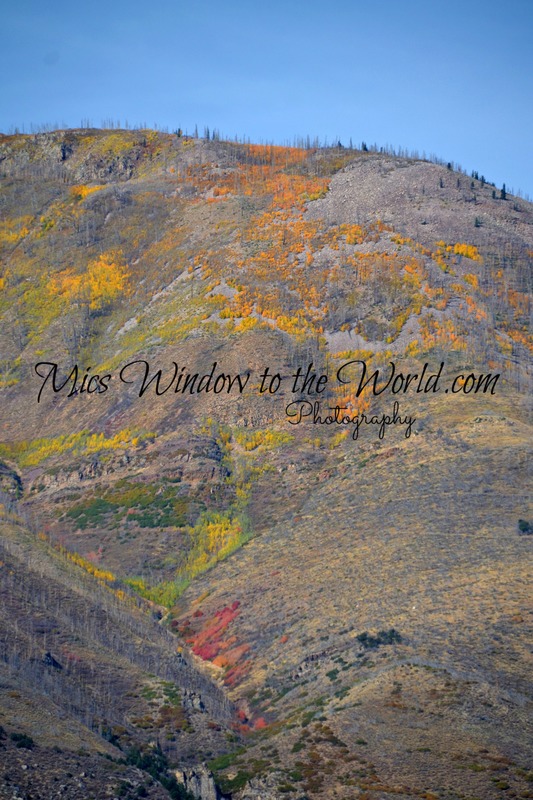 Fall Colors 4(1).jpg