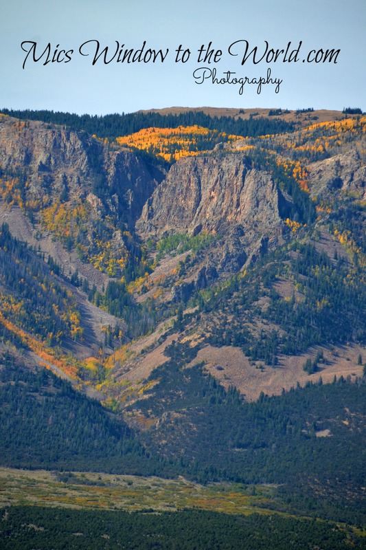 Fall Colors 5(1).jpg