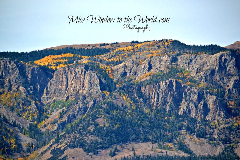 Fall Colors 6(1).jpg