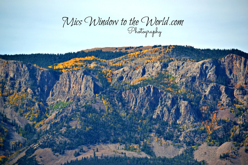 Fall Colors 7(1).jpg