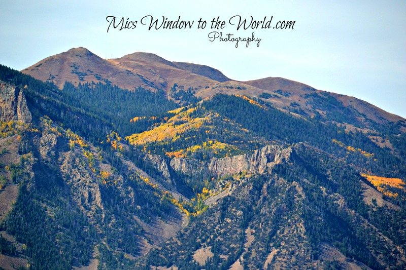 Fall Colors 8(1).jpg