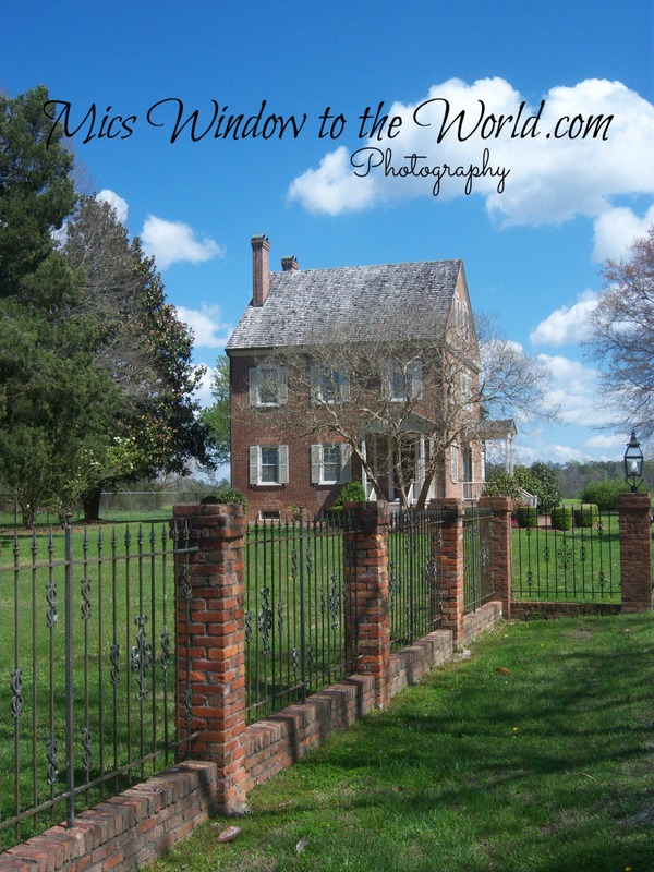 Foscue Plantation 1804.jpg