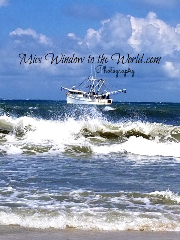 Ft Macon Beach 2.jpg