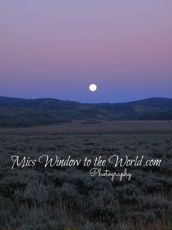 Full Moon Teton Valley(1).jpg