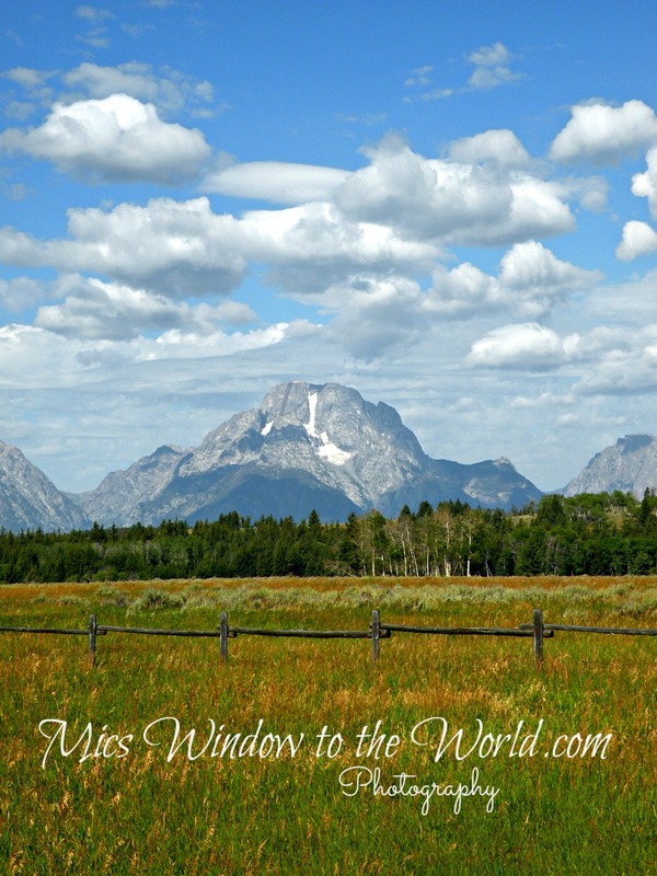 Grand Tetons 4(1).jpg