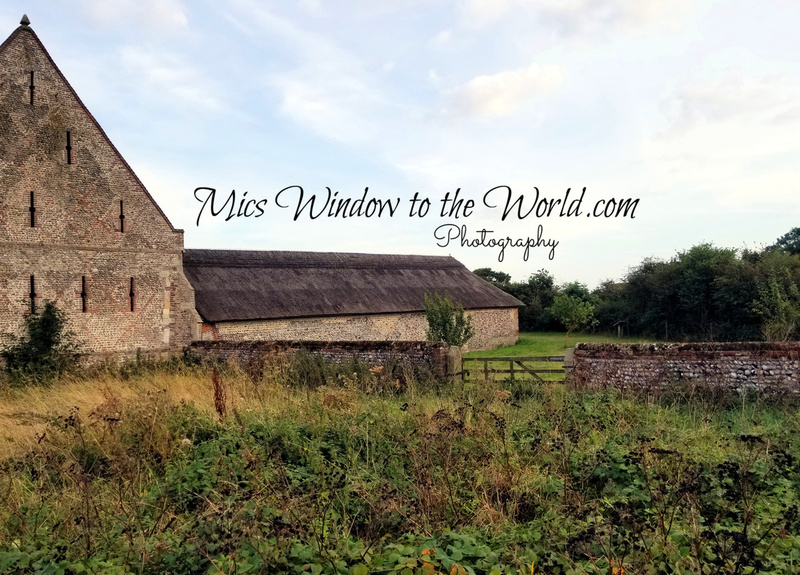 Great Barn 6 Thatched Roof 1570(1).jpg