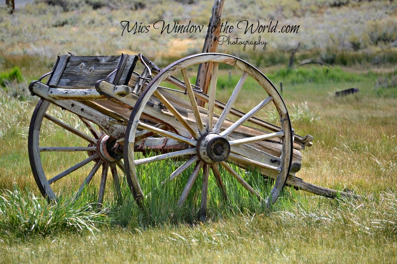 Handcart 2.jpg