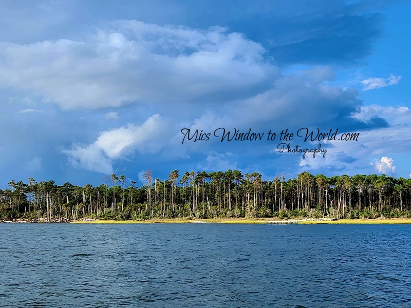 Harkers Island copy.jpg