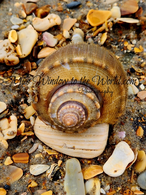 Hatteras Island 2.jpg