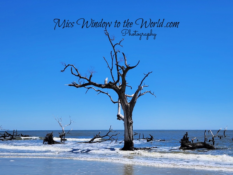 Hunting Island SC 2.jpg