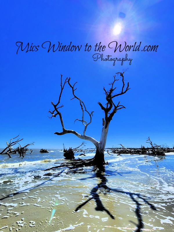 Hunting Island SC 6.jpg