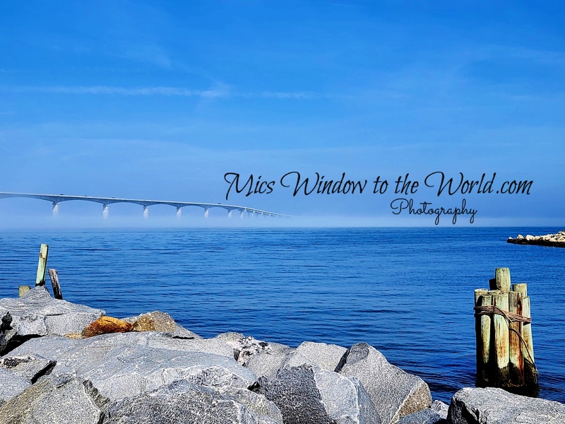 Hwy 12 Bridge copy.jpg