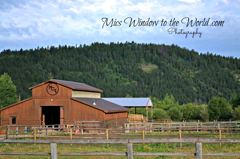 Idaho Barn.jpg