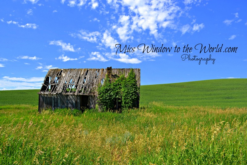 Idaho Homestead 1.jpg