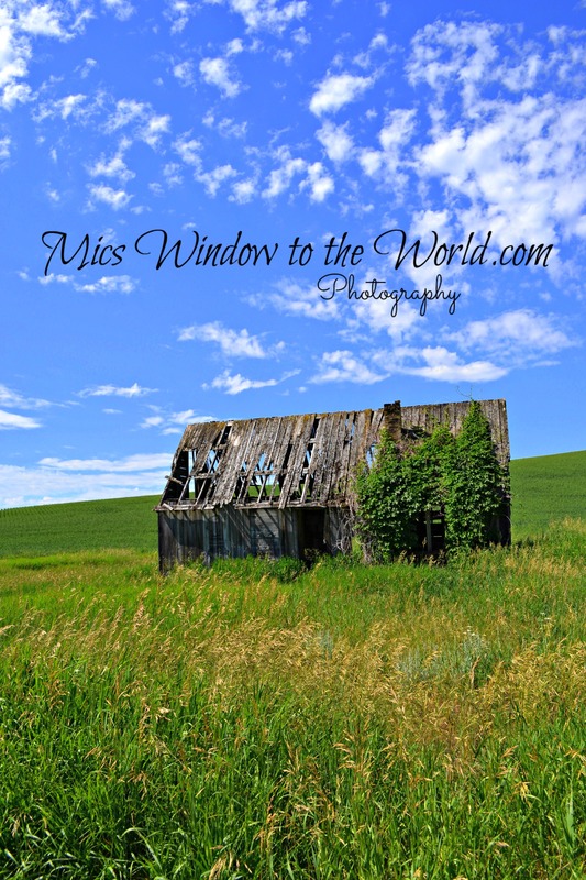 Idaho Homestead 2.jpg