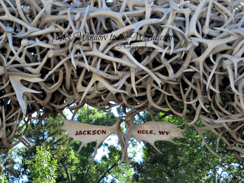 Jackson WY 2(1).jpg