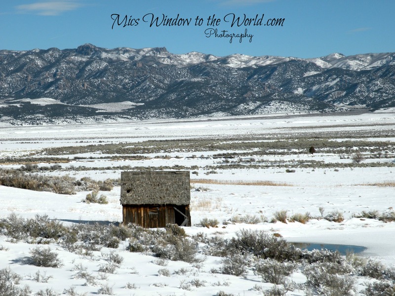 Little House on the Prairie(1).jpg