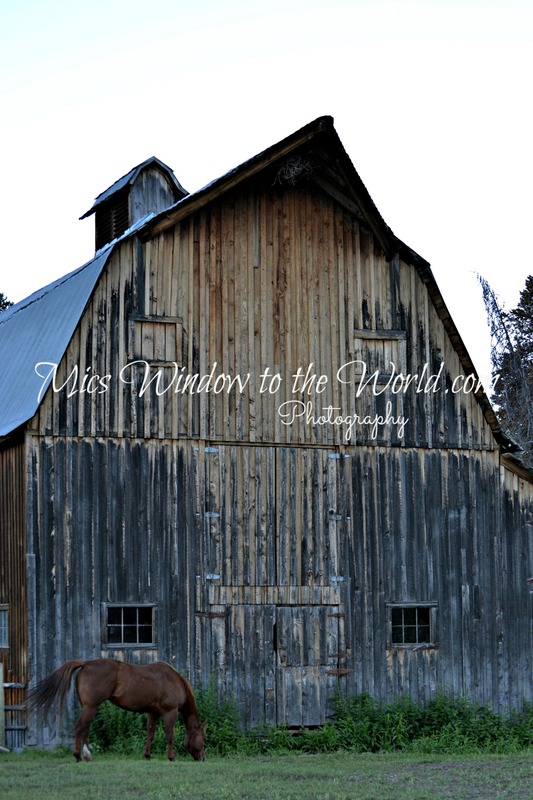 Marlboro Barn 2 Wyoming(1).jpg