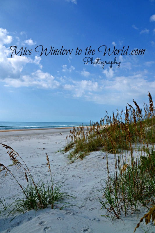 Masonboro Island 3.jpg