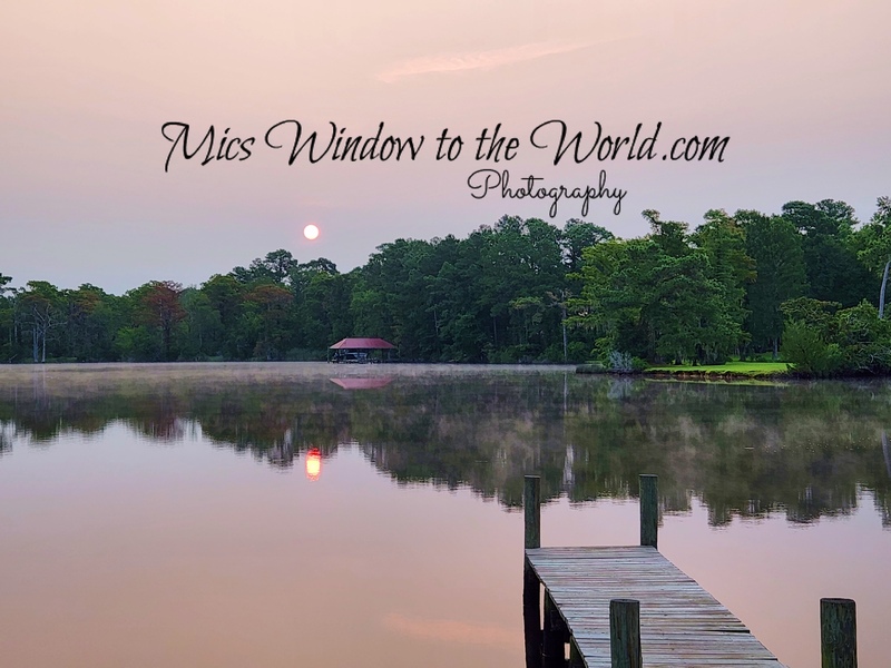 Merchants Morn 1 copy.jpg