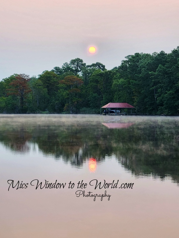 Merchants Morn 2 copy.jpg