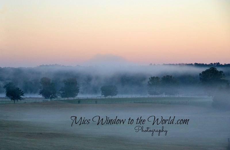 Morning Fog 1(1).jpg