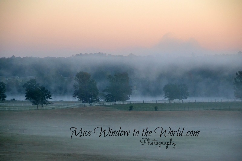 Morning Fog 2(1).jpg