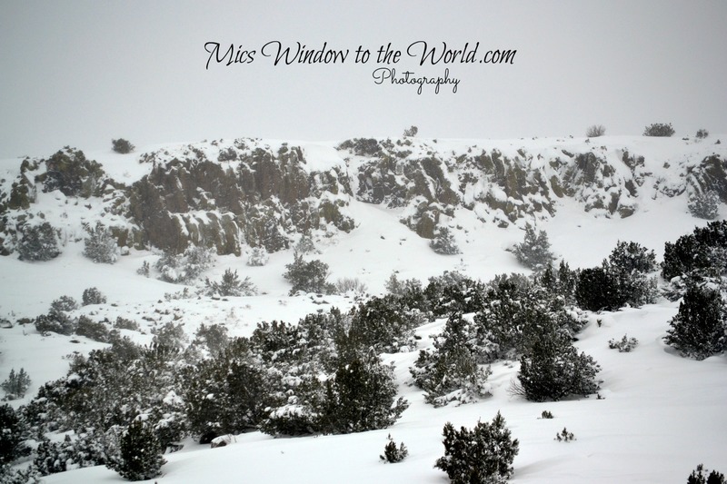 NM Snow 1(1).jpg
