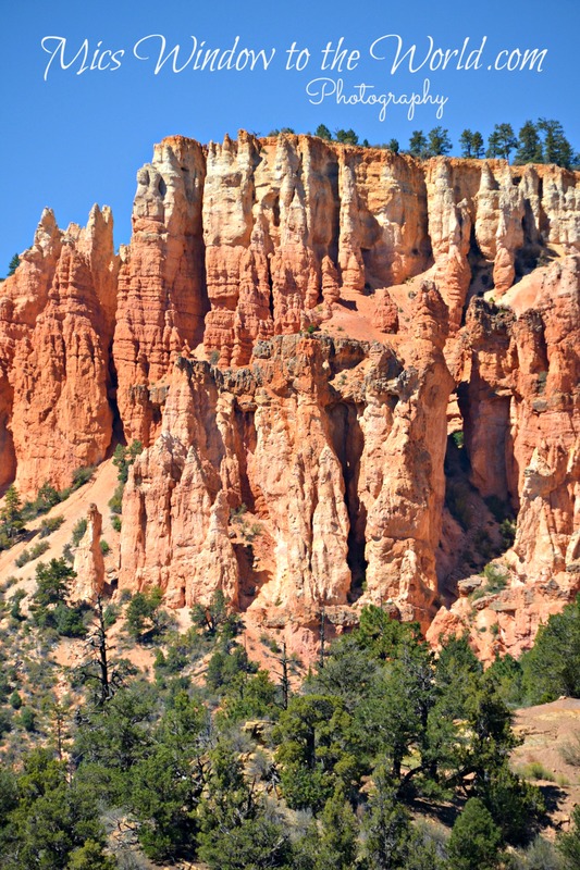 Near Bryce UT 2(1).jpg