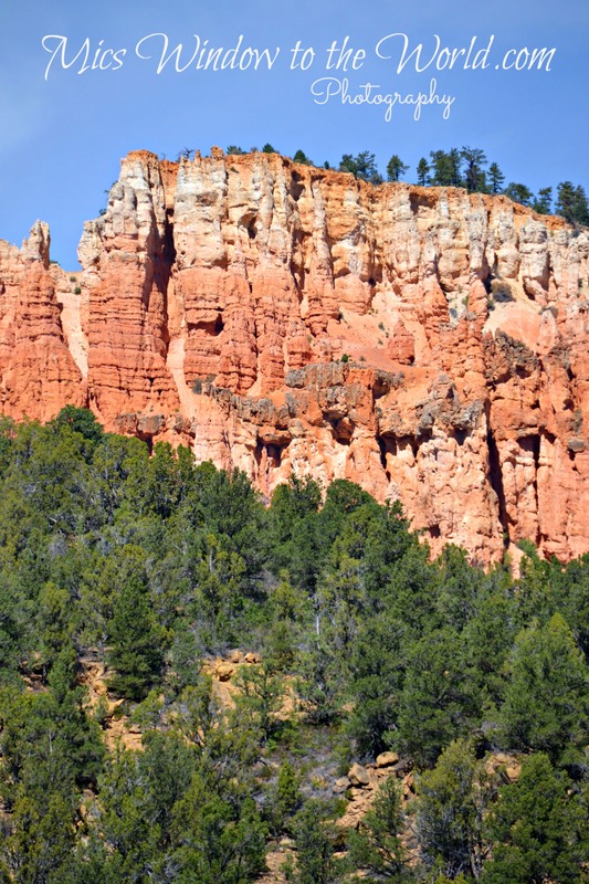 Near Bryce UT 3(1).jpg