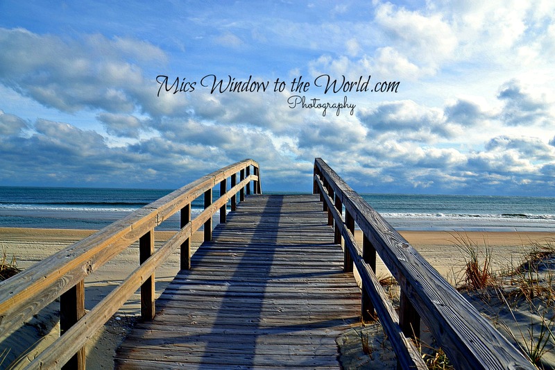 Outer Banks 4embosssub(1).jpg