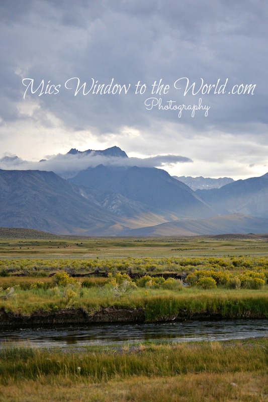 Owens River 5.jpg