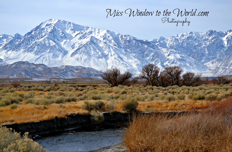 Owens River Bishop CA.jpg