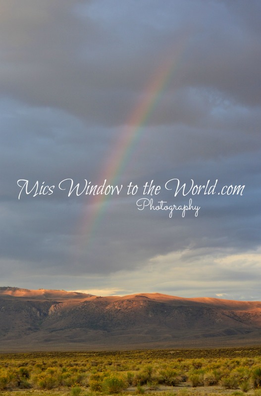 Owens River Rainbow.jpg