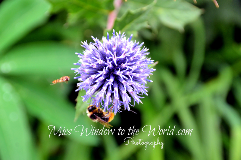 Oxburgh Hall 20 15th cent.jpg