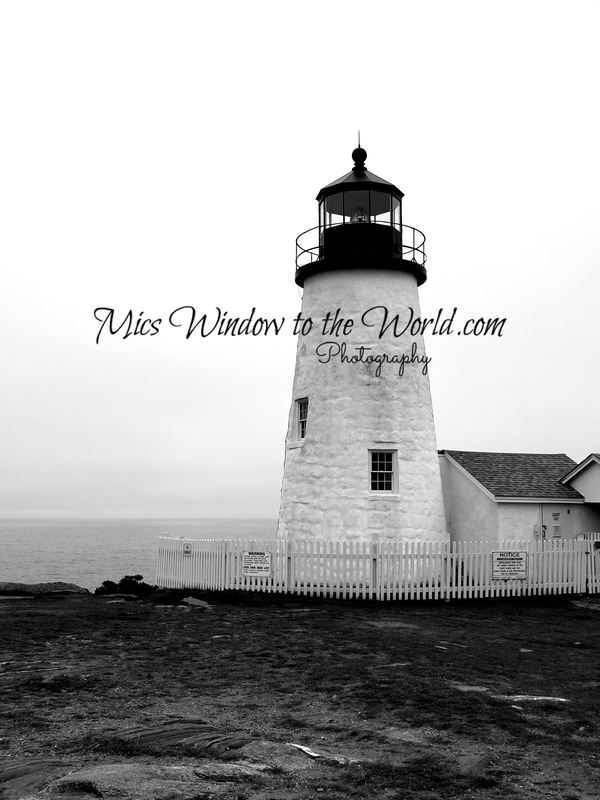 Permaquid Point Light 2bw.jpg