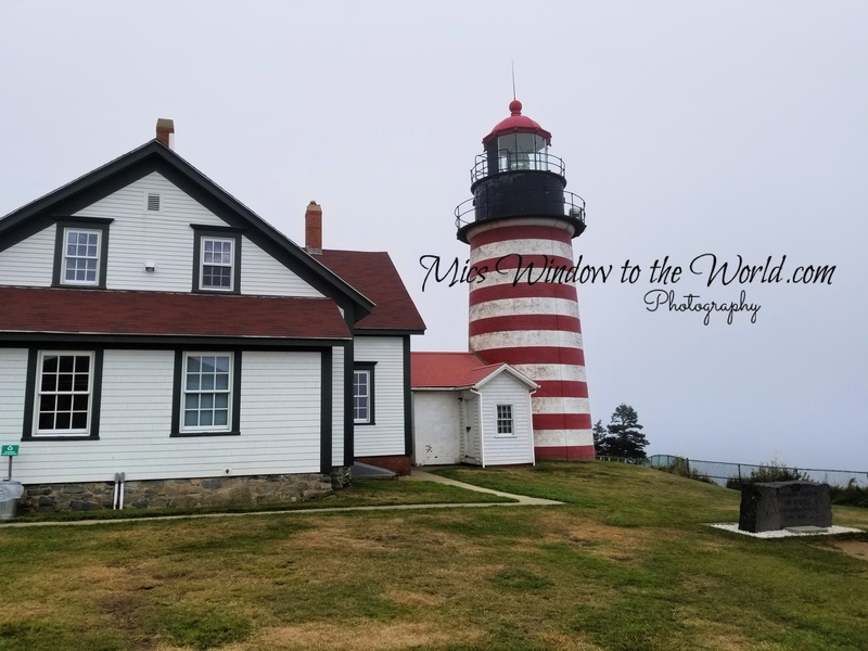 Quaddy Head Light 2.jpg