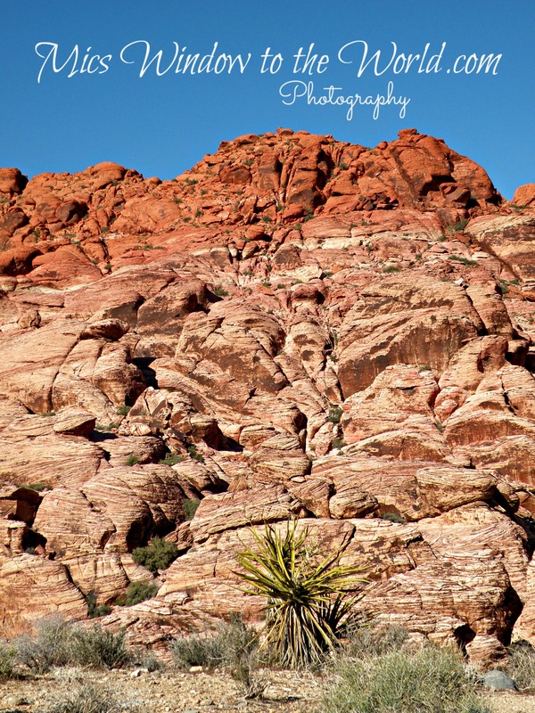 Red Rock Canyon NV 1(1).jpg